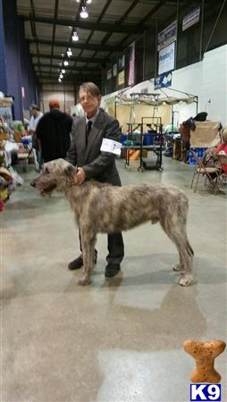 Bill Logan Picture 1